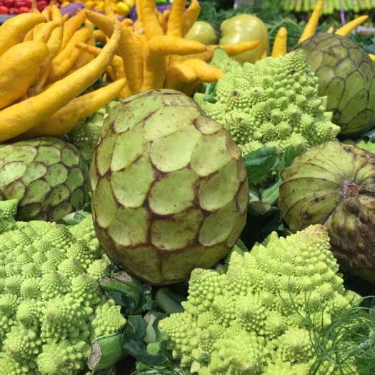 Personal VEGAN/PLANT-BASED HEALTH FOOD Chef/Health Coach